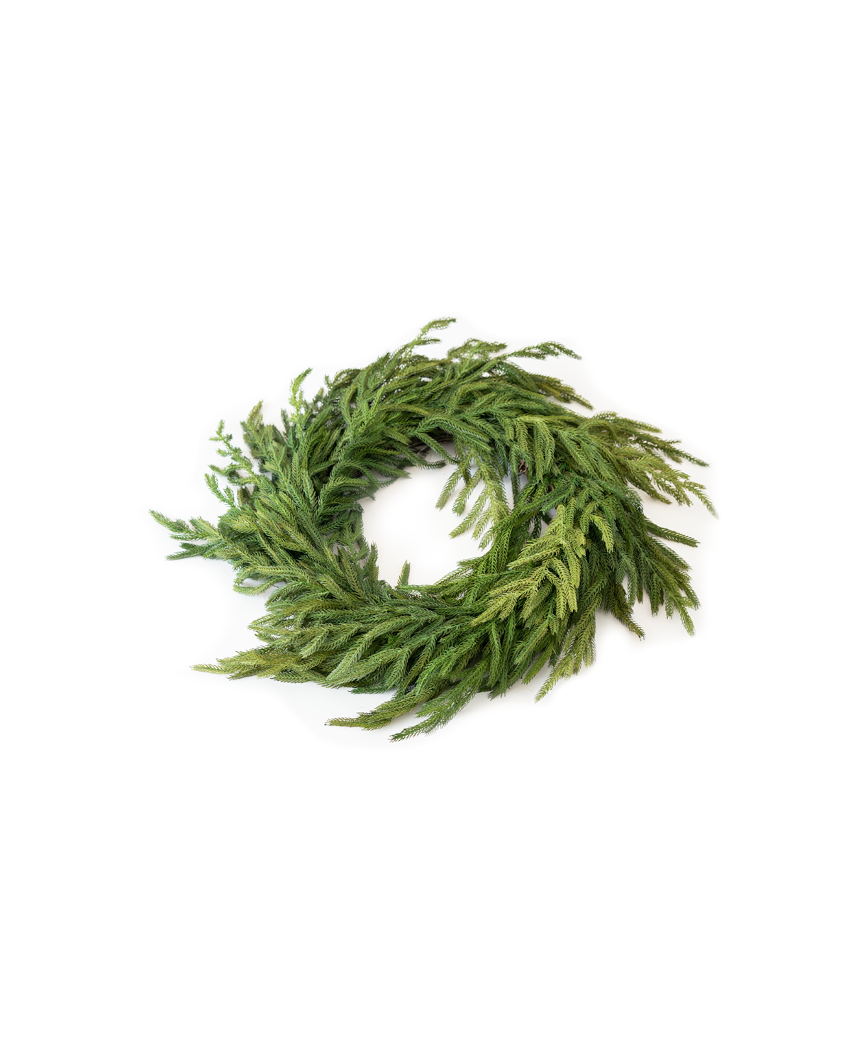 Corona de pino Norfolk