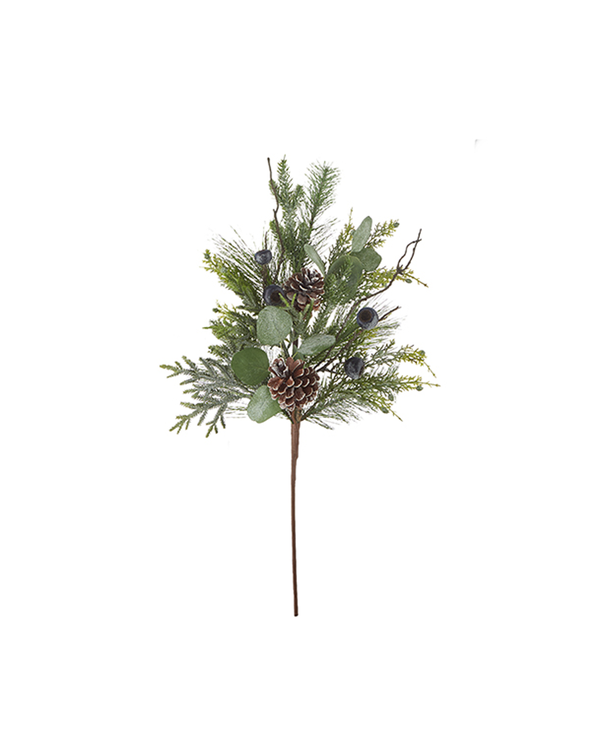 Rama Eucalyptus