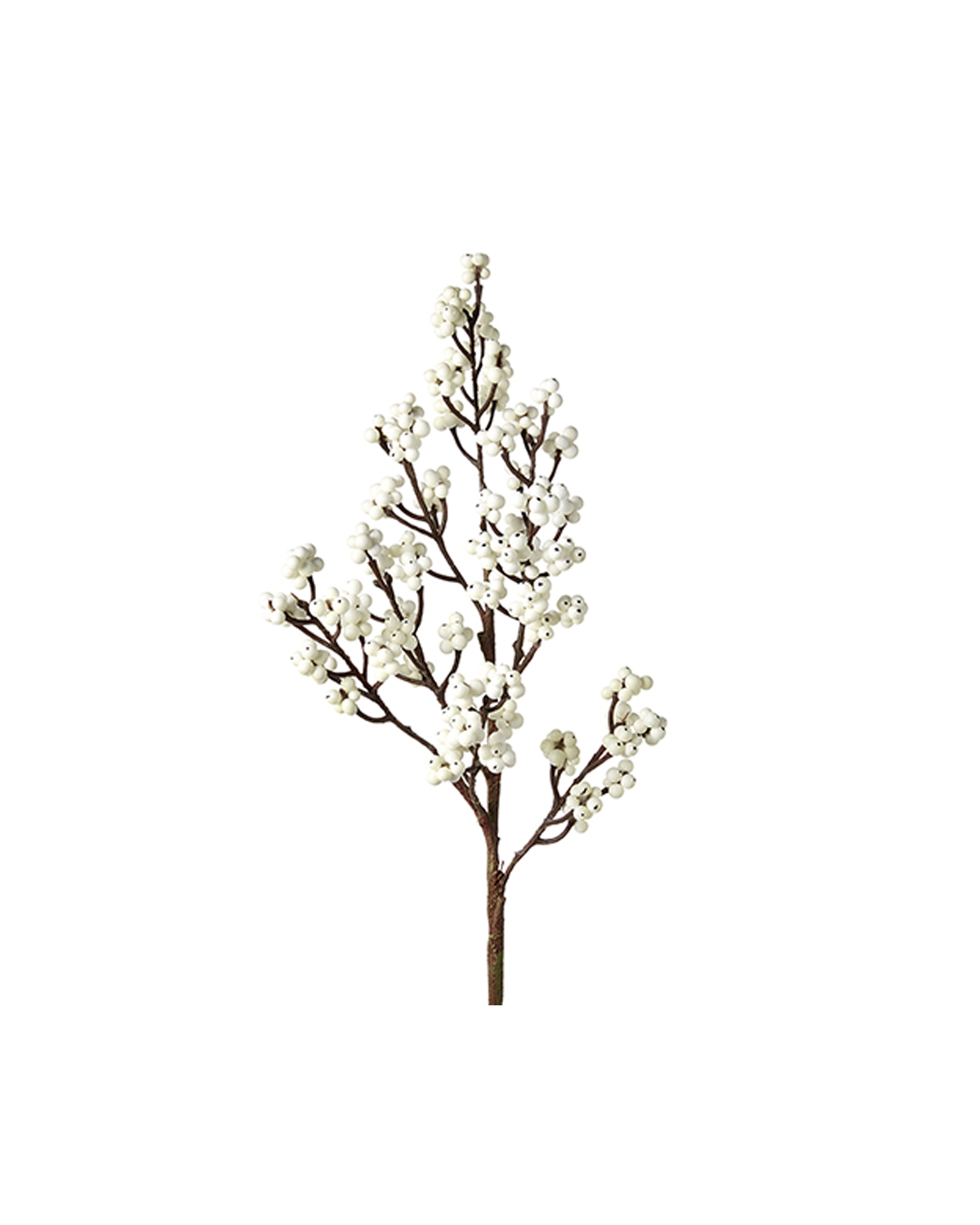 Rama White Berry