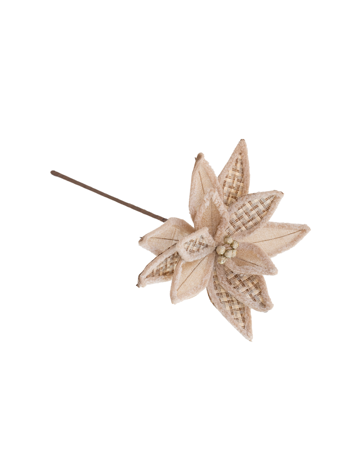 Nochebuena Velvet nude