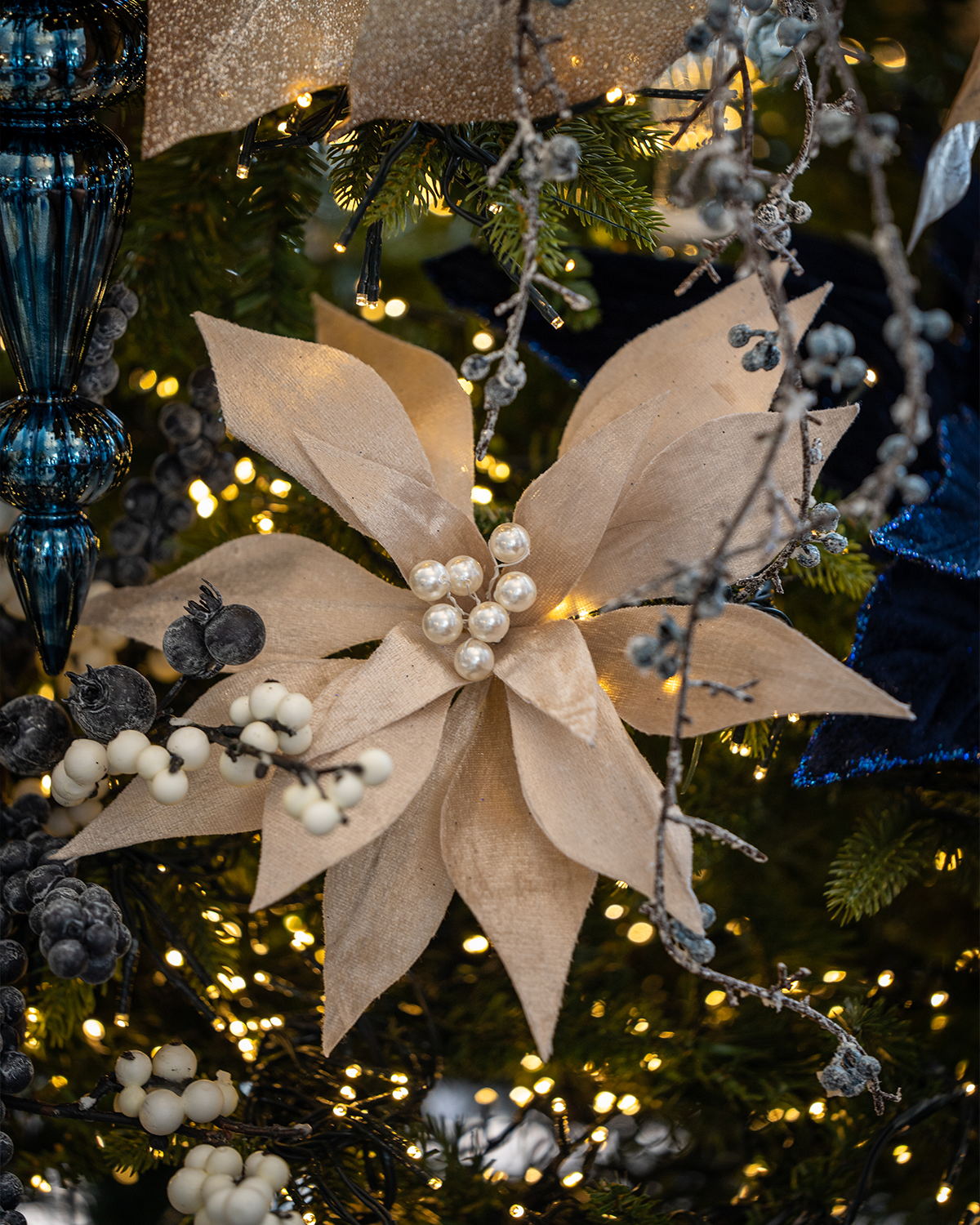 Nochebuena Velvet Pearl