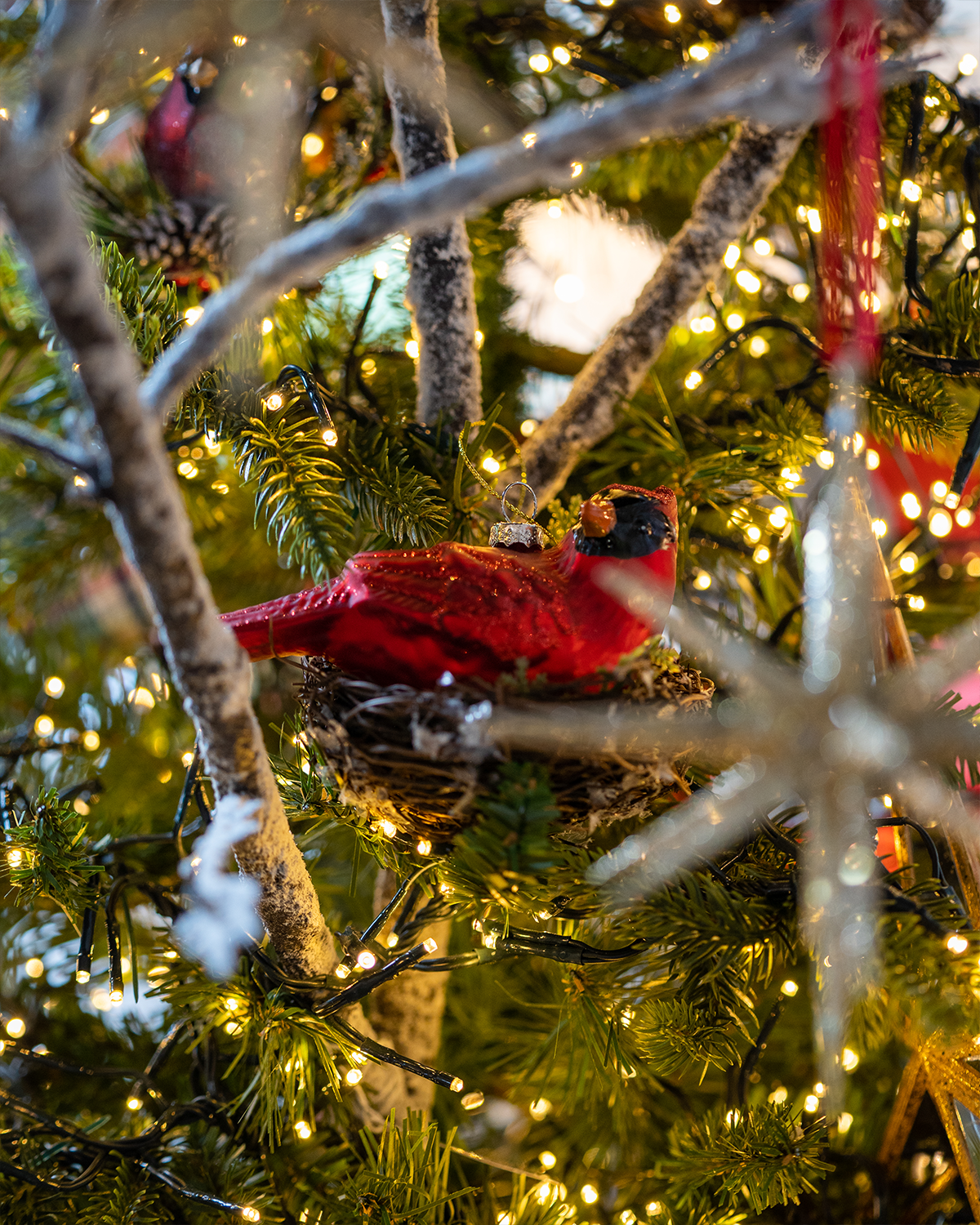 Ornamento Petirrojo en nido