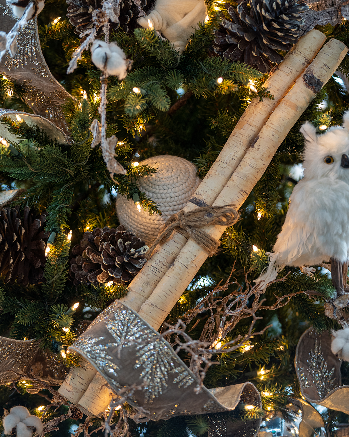 Set de 3 tallos de abedul