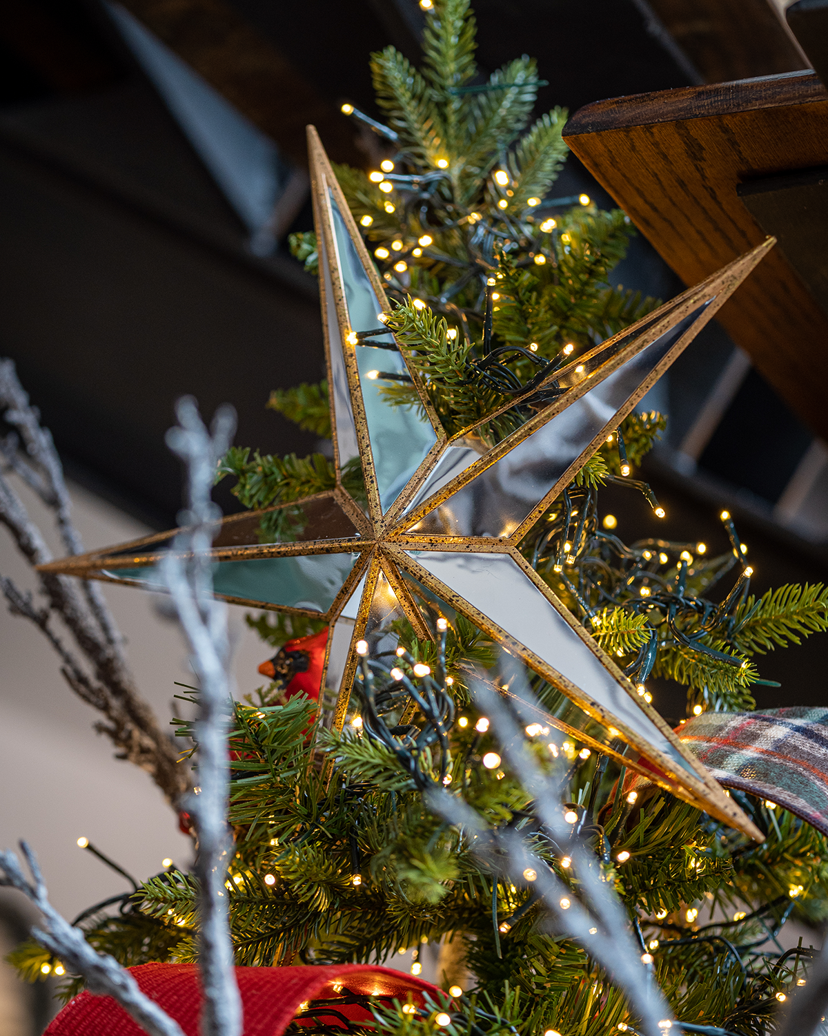 Ornamento de estella