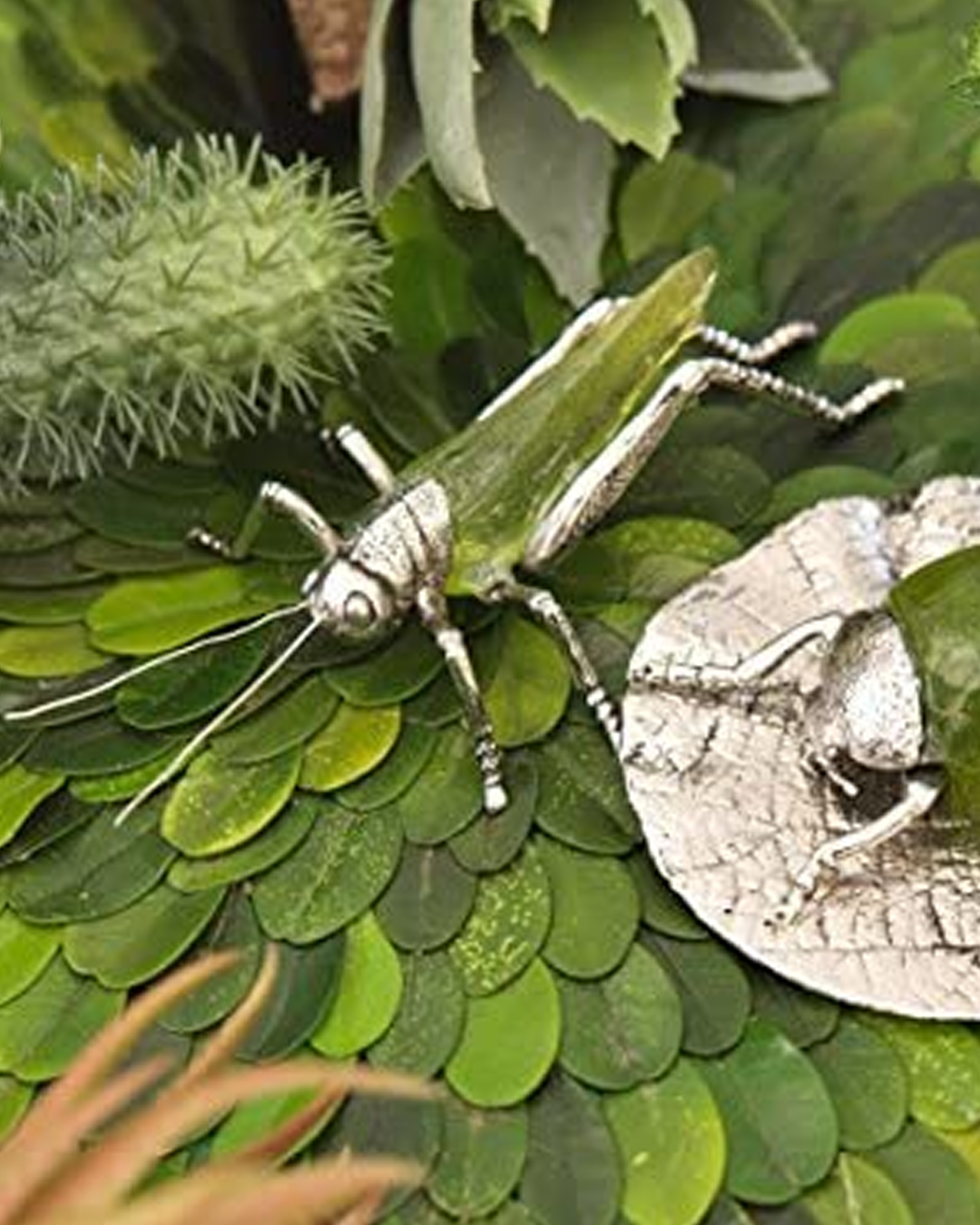 Saltamontes decorativo