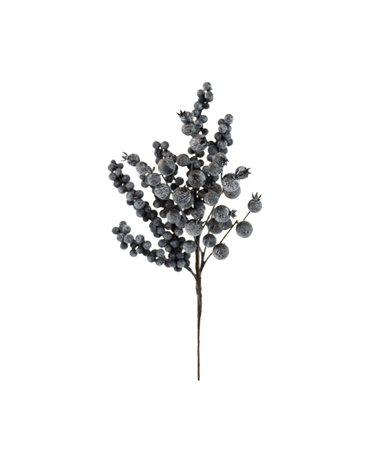 Rama de berries
