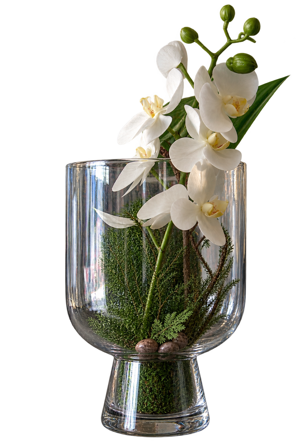 TERRARIO DE CRISTAL CON BASE