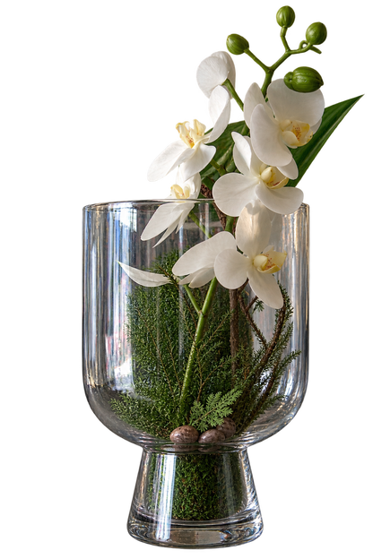 TERRARIO DE CRISTAL CON BASE