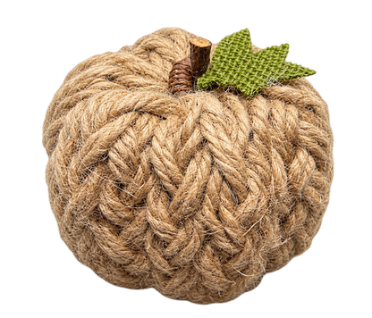 CALABAZA COSECHA DE OTOÑO