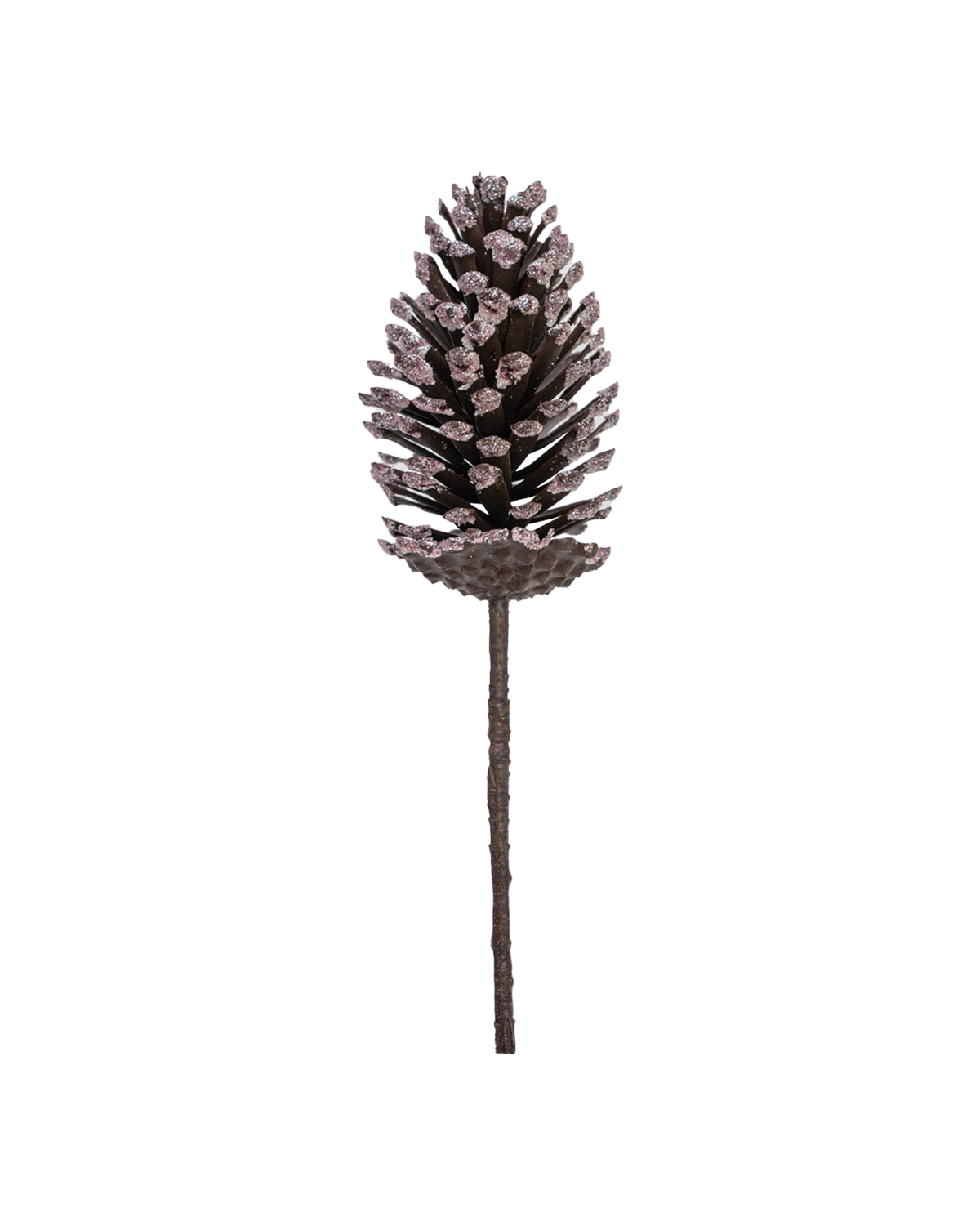 Piña escarchada – Accents Decoration